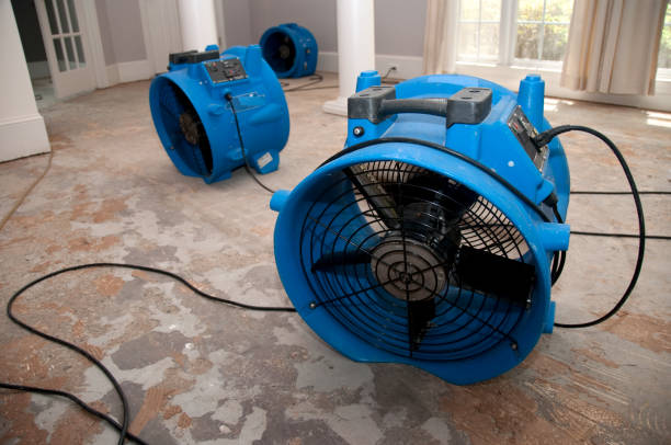 Best Water damage restoration near me  in Highland Park, TX