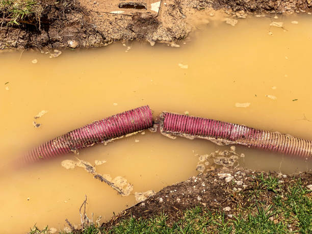Best Water damage mitigation services  in Highland Park, TX